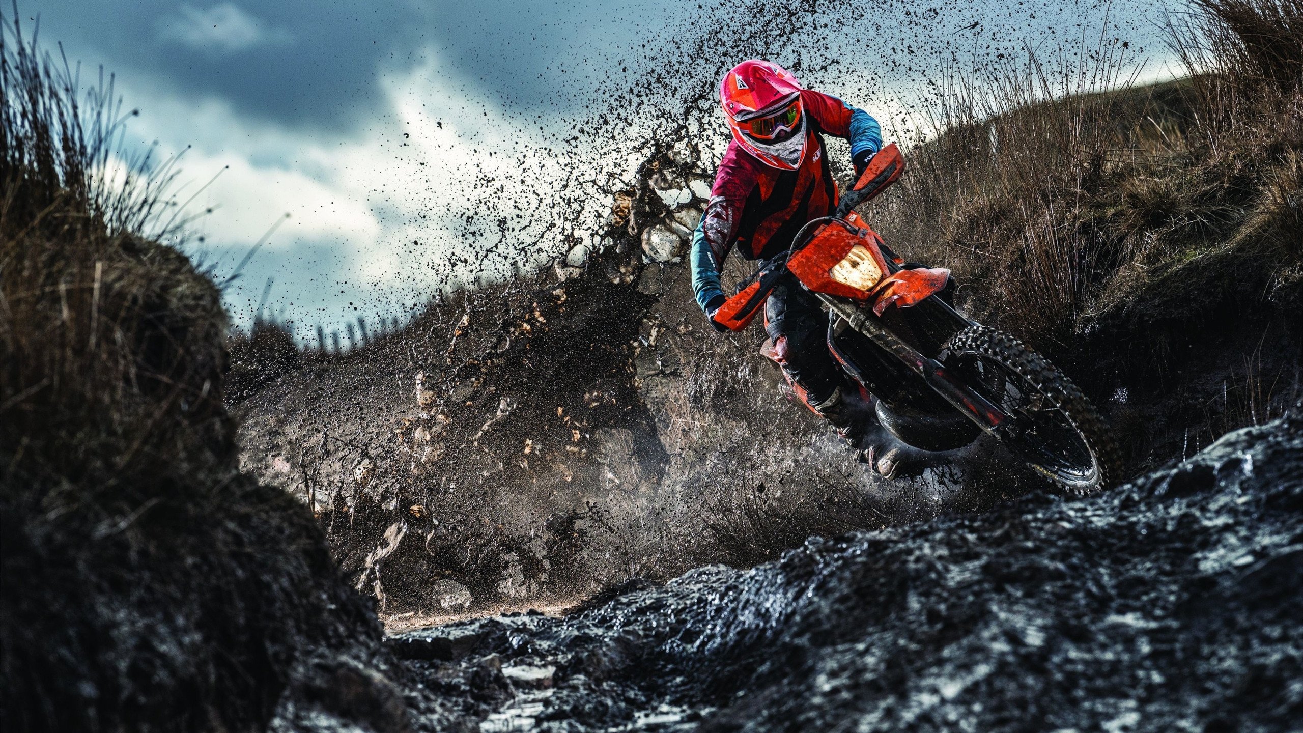 【冠军争夺激烈】一场比赛决定季后赛名次,冠军季中赛